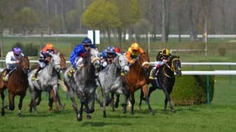 Les pronos hippiques du 2 juillet 2023