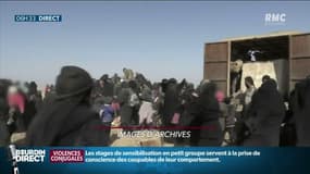 Enfants de jihadistes rapatriés: comment l'Etat les prends en charge à leur arrivée