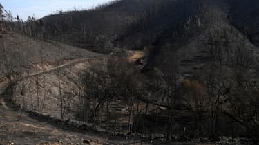 Le Portugal est ravagé par des incendies.