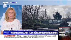 Vienne: une mini-tornade frappe le village de Saint-Jean-de-Sauves