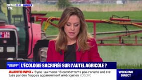 Egalim : distributeurs, tenez-vous à carreau ! - 02/02