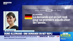 L'éco du monde : "Allemagne : demande en baisse pour son premier gros test obligataire de l'année" - 07/01