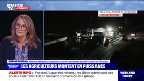 Sophie Primas, ministre déléguée en charge du Commerce extérieur: "On a pris à bras-le-corps cette question agricole" 