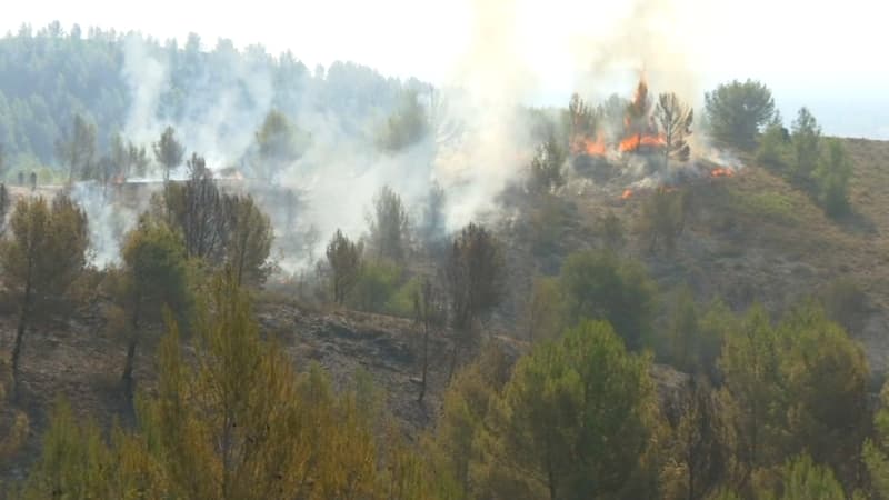 Un incendie a parcouru 1600 hectares dans le massif de la Montagnette (Bouches-du-Rhône).