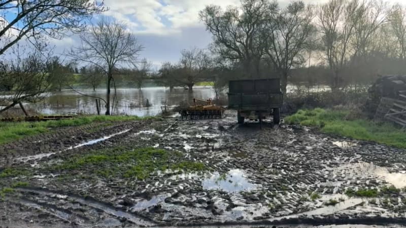 "Ce n’était jamais arrivé jusqu'à cet endroit”: les crues paralysent les cultures des agriculteurs