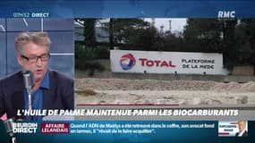 Nicolas Poincaré : L'huile de palme maintenue parmi les biocarburants - 15/11