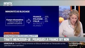 SIGNÉ BFM - Accord UE-Mercosur: "La France est en passe de gagner ce pari fou" sur le report du vote
