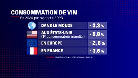 La consommation de vin a baissé dans le monde de 3,3% en 2024.