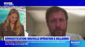 Une nouvelle opération de démoustication à Vallauris, 10 cas de dengue détectés