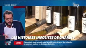 Selon une étude, manger du fromage et boire du vin améliorerait les fonctions cognitives 