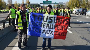 Des gilets jaunes manifestant à Bordeaux, lors de leur première journée de mobilisation le 17 novembre 2018