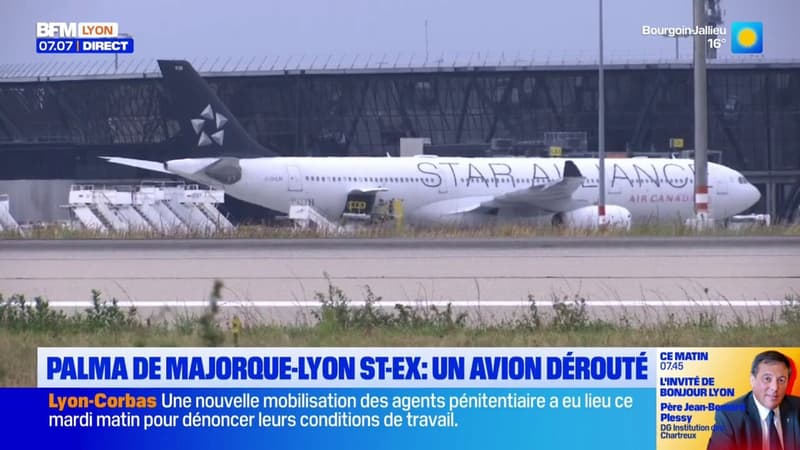 Palma de Majorque - Lyon : Un avion dérouté