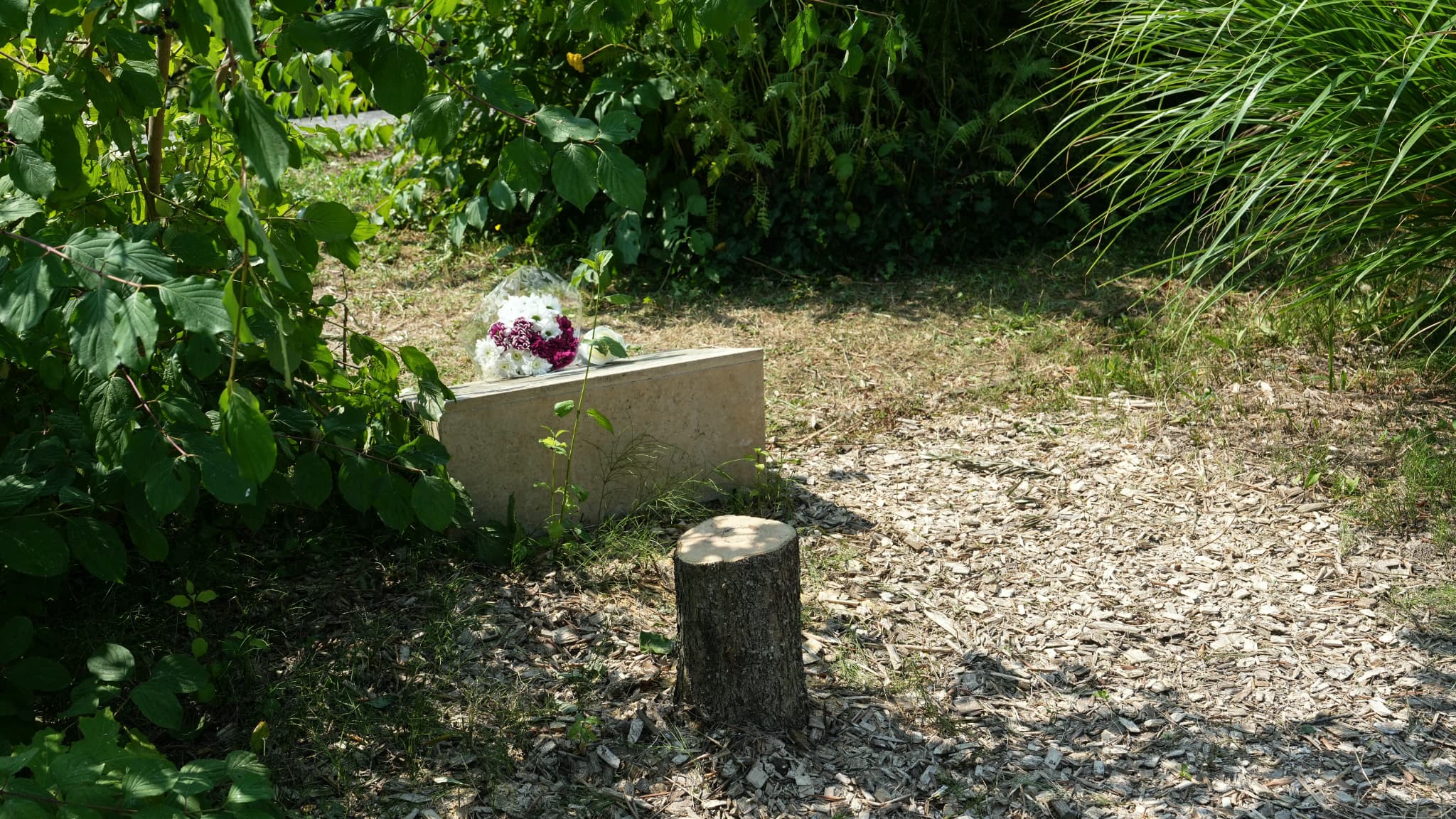 ARBRE POUR ILAN HALIMI ABATTU: DEUX SUSPECTS ONT ÉTÉ INTERPELLÉS ET SONT JUGÉS EN COMPARUTION IMMÉDIATE