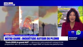 Notre-Dame de Paris: inquiétude autour du plomb