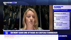 Attaque au couteau à Bordeaux: toute la zone autour du Miroir d'eau a été interdite au public 