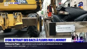 Retrait des bacs à fleurs rue Edouard Herriot