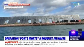 Grève du 7 mars: opération "ports morts" à Rouen et au Havre