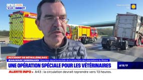 Rhône: des vétérinaires venus en renfort après un accident impliquant une bétaillère