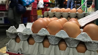Le nombre de transformateurs qui ont utilisé des oeufs contaminés au Fipronil redescend à 15.