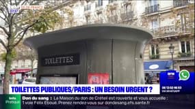 Paris: le nombre de toilettes publiques suffisant dans la capitale? 