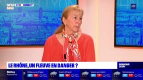 Rhône: pour Elisabeth Ayrault, présidente du directoire de la CNR, la pollution "invisible" est encore pire