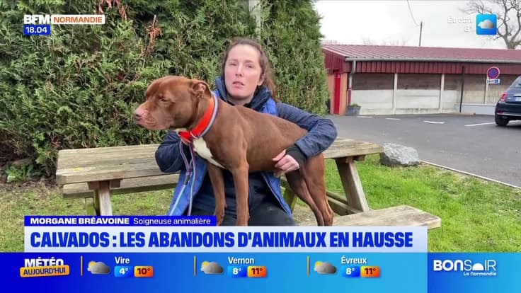 Le journal de 18h du mercredi 17 décembre 2025