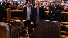 Marine Le Pen en compagnie de Florian Philippot et de Cerise au Salon de l'agriculture 2016