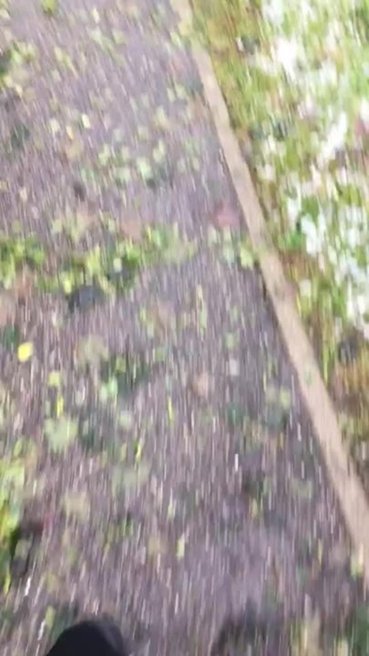 placeholder video