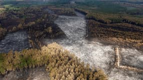Une photographie aérienne prise depuis un hélicoptère montre des champs brûlés alors que les travaux de refroidissement et d'extinction se poursuivent à Landiras en Gironde, dans le sud-ouest de la France, le 23 juillet 2022.