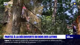 Rhône: le Bois des lutins, un parc ludique coupé du monde