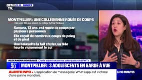 Montpellier : 3 adolescents en garde à vue - 03/04