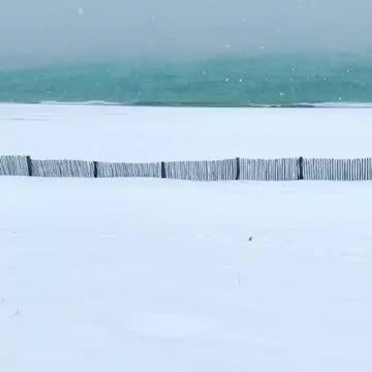 placeholder video