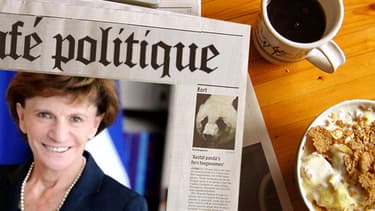 La ministre déléguée aux Personnes âgées, Michèle Delaunay