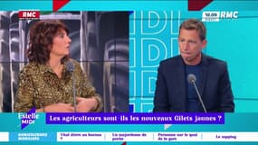 Les agriculteurs sont-ils les nouveaux Gilets jaunes ?