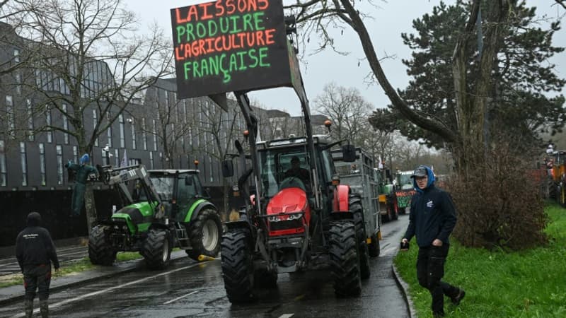 Regarder la vidéo Colère des agriculteurs: Bruxelles propose des simplifications et moins de visites de contrôle