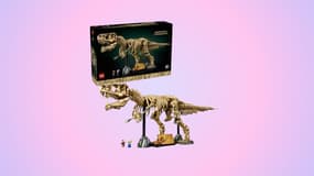 Cette astuce pour faire baisser le prix de ce set LEGO Jurassic World risque de vous faire craquer 