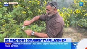 Le journal de 8h du mercredi 28 janvier 2026