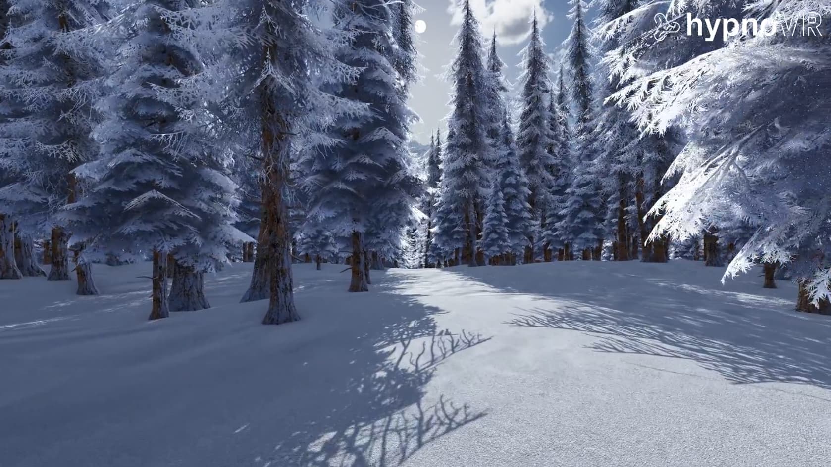 Nous avons choisi une forêt enneigée