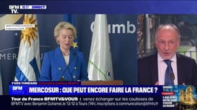 Story 5 : Mercosur, que peut encore faire la France ? - 06/12