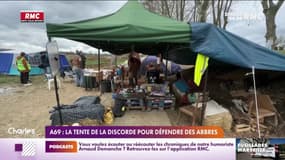 A69: la tente de la discorde pour défendre des arbres