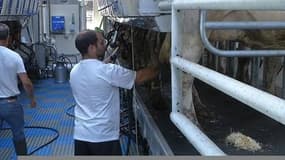 La crainte des producteurs laitiers de ne pas voir l'accord appliqué