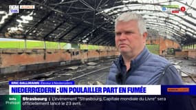 Bas-Rhin: un poulailler de 650 m2 part en fumée à Niederrœdern