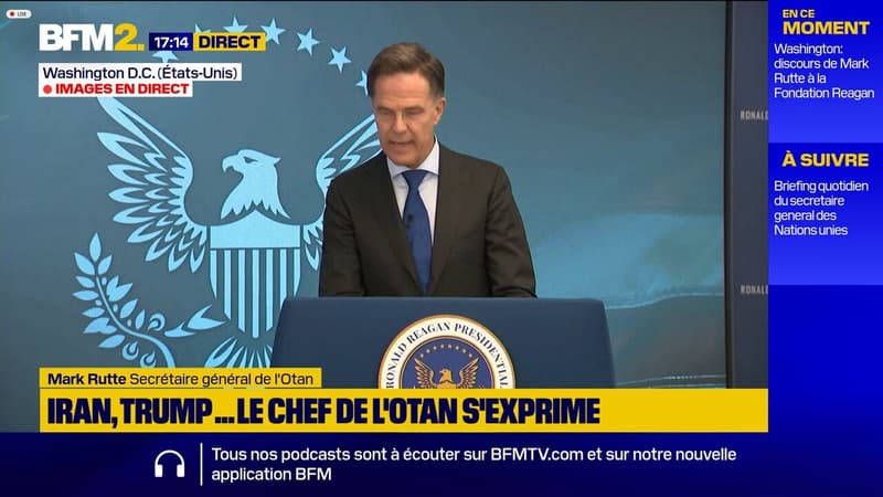 "Des conversations franches et ouvertes" : le chef de l'Otan revient sur ses entretiens avec Donald Trump et Marco Rubio