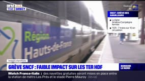 Grève à la SNCF: un faible impact sur les TER dans les Hauts-de-France