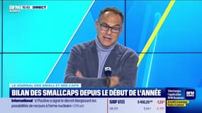 Le journal des Small et Mid Caps : Bilan des Small Caps depuis le début de l'année - 19/11