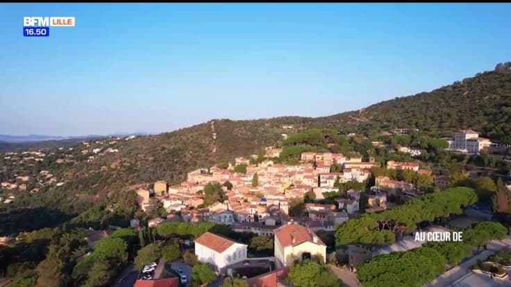 Au Cœur de Bormes les Mimosas