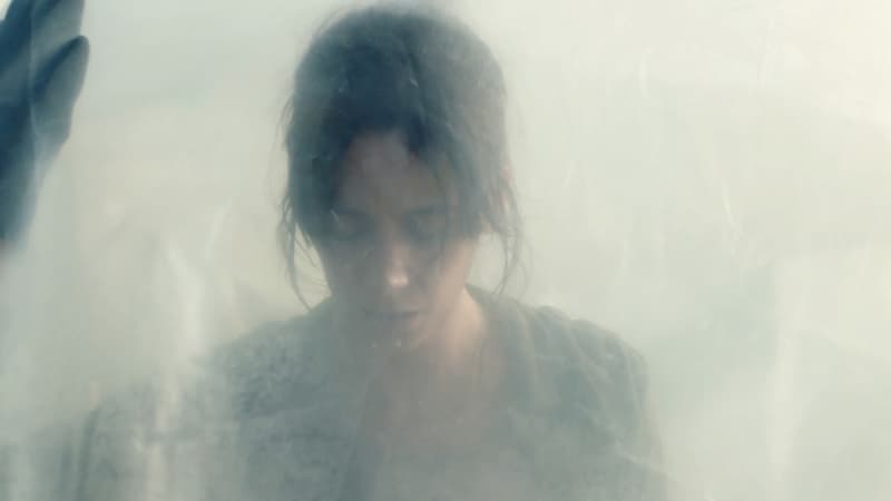 Le film de genre "La Nuée"