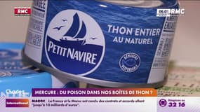 Mercure: du poison dans nos boîtes de thon? 