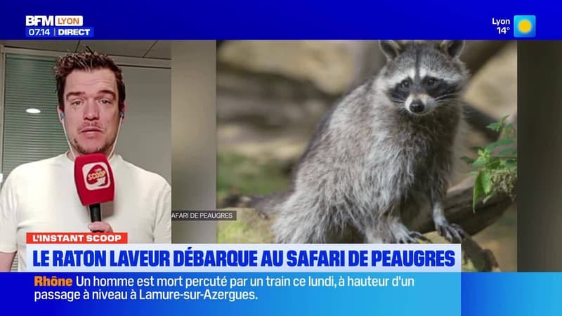 L'actu du 8 avril 2026