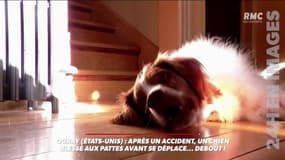 C'est déjà demain